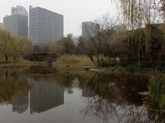 -木塔寺遗址生态公园