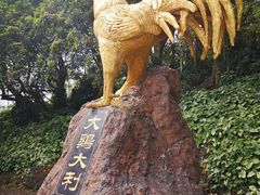 -海口火山口国家地质公园