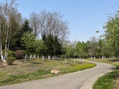 -莫子山公园