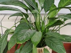 -汤W城市微度假(仓山店)