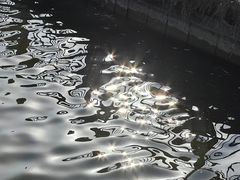 -黄兴公园