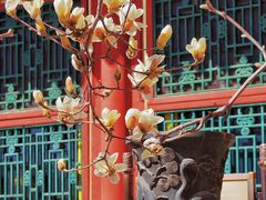 -颐和园