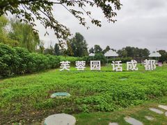 -天府芙蓉园