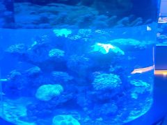 -上和臻品中国菜(花园街店)