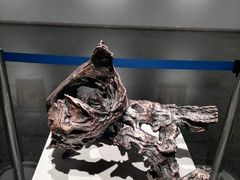 -昆明市博物馆(昆明市文物保护和考古研究中心)