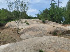 -白水寺森林公园
