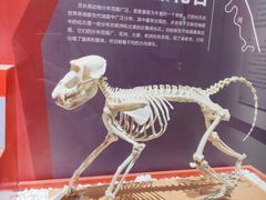 -国家自然博物馆