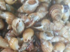 -宾朋海鲜特色美食餐厅·纯手工鲅鱼水饺(兴海路店)