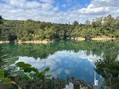 -广州市流溪河国家森林公园