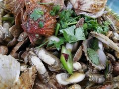-四海蒸鲜蒸汽海鲜自助(北戴河店)