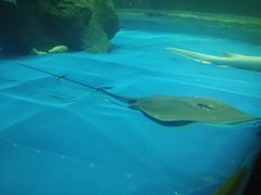 -北海·海洋之窗