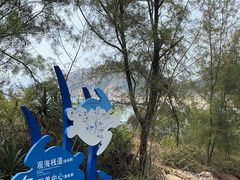 -广东惠东海龟国家级自然保护区