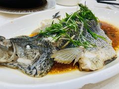 -百乐门喜宴(海珠广场华厦店)