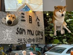 -三目仓咖啡(贤南路店)