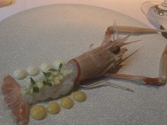 -橘洲1910花园江景西餐厅