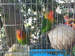 -欣怡茶庄·始于1999(梅家坞店)