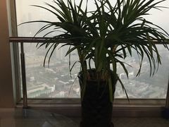 -天塔旋转餐厅