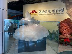 -河南自然博物馆