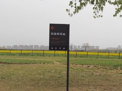 -汉长安城未央宫国家考古遗址公园