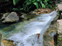 -广州白江湖森林公园