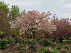 -江南大学(蠡湖校区)