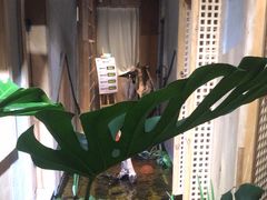 -邈墨茶馆(凤起路店)