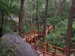-大岭沟猕猴桃谷风景区