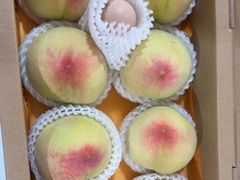 -老袁家蜜桃农场·阳山水蜜桃