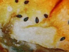 -麦当劳(西客站店)