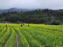 -云水谣景区