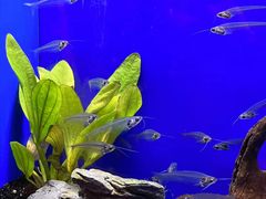 -上海海洋水族馆