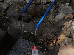 -火炉山森林公园