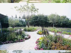 -思念果岭悦温泉