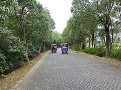 -上海海湾国家森林公园