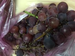 -柯剑飞超级水果批发中心(东港店)