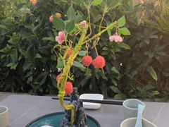 -故里和山·成都火锅(欢乐港湾店)