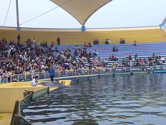 -秦皇岛乐岛海洋王国