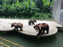 -贵州森林野生动物园