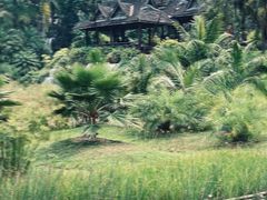 -中国科学院西双版纳热带植物园