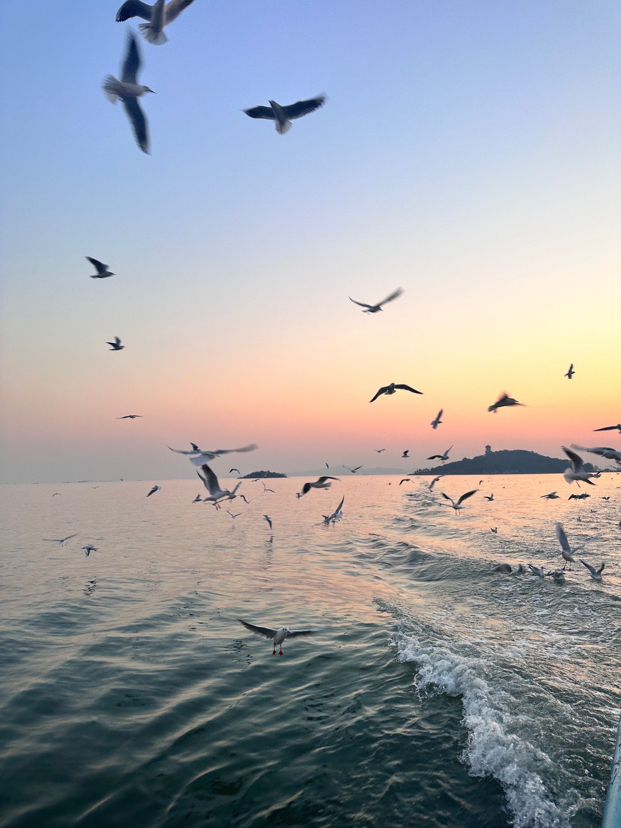 免费看好点视频软件合集推荐，三款热门应用全面解析，高清流畅无广告体验，用户评分与下载指南一文读懂。