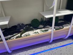 -藜爱·山海情海鲜自助(万达广场店)