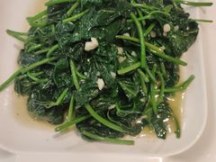 蒜茸红薯苗-东四民芳餐厅(世茂工三店)