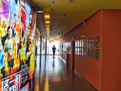 -力美健(中华店)