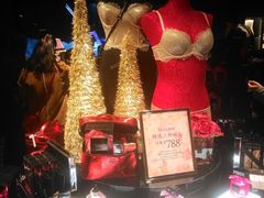 -Victoria's Secret(苏州中心全品类店)