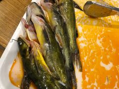 -融泽漁悦三只耳鱼火锅(南郑大道店)