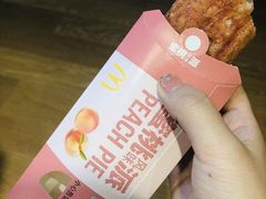 -麦当劳(花园北路店)