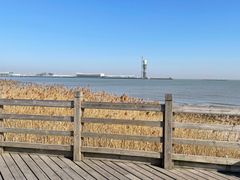 -上海吴淞炮台湾国家湿地公园