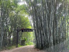-海南热带野生动植物园