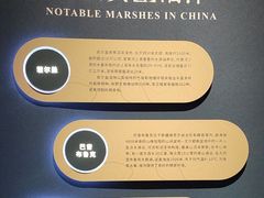 -中国湿地博物馆