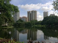 -晓港公园